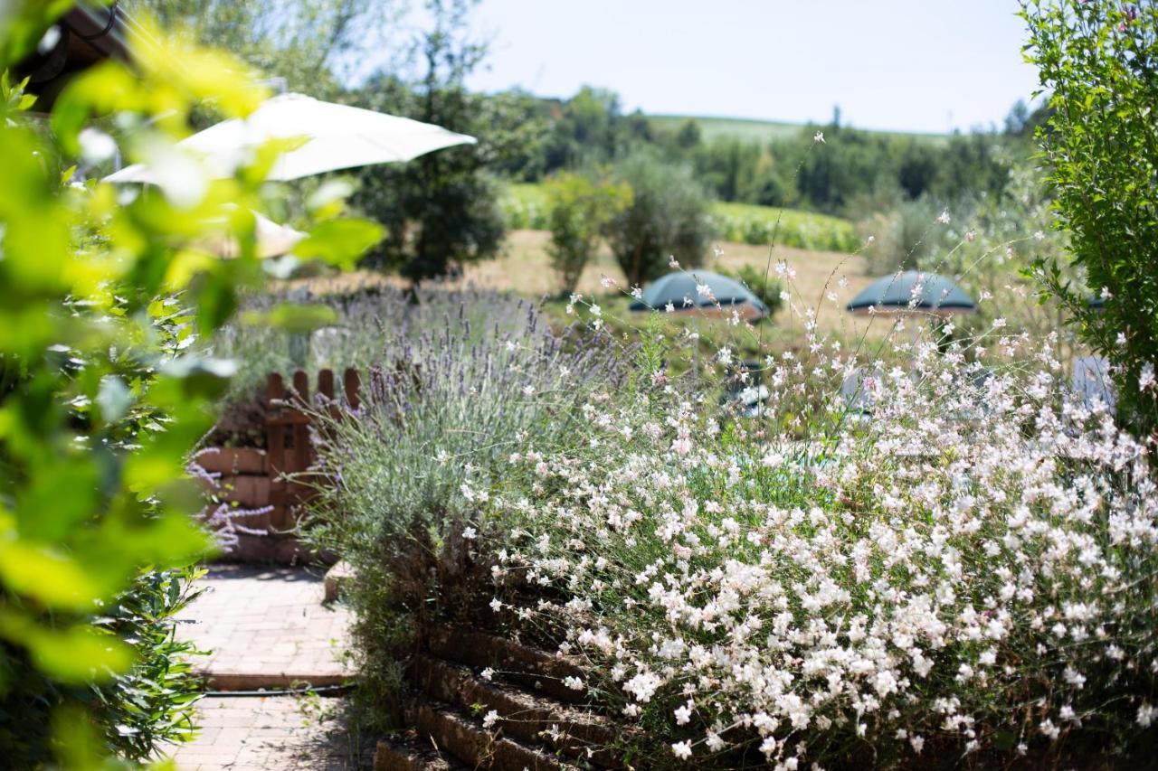 Country House Villa Sabrina San Ginesio Eksteriør bilde