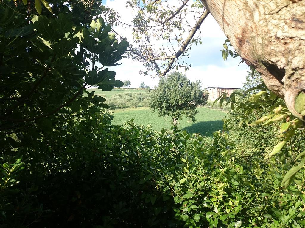 Country House Villa Sabrina San Ginesio Eksteriør bilde